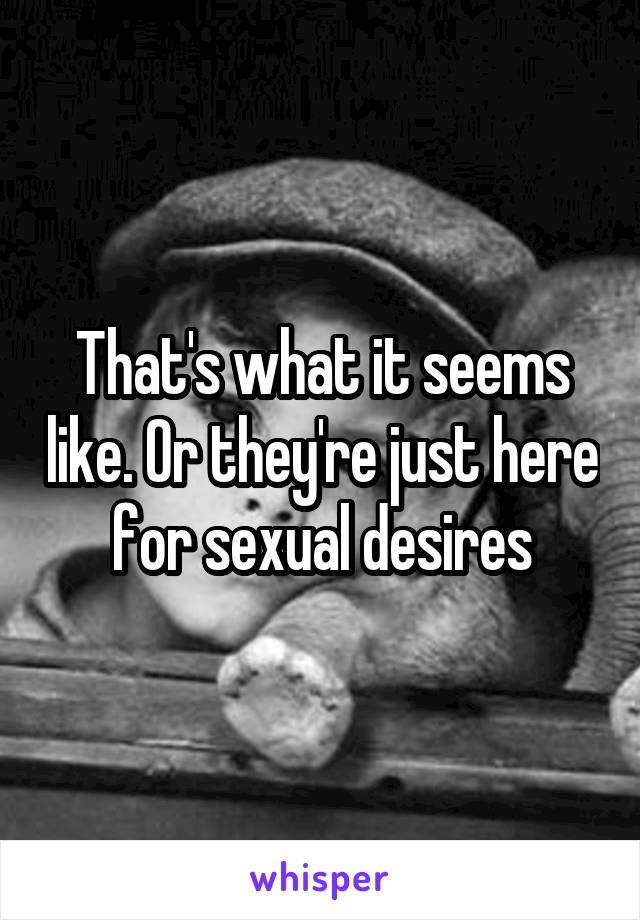 That's what it seems like. Or they're just here for sexual desires