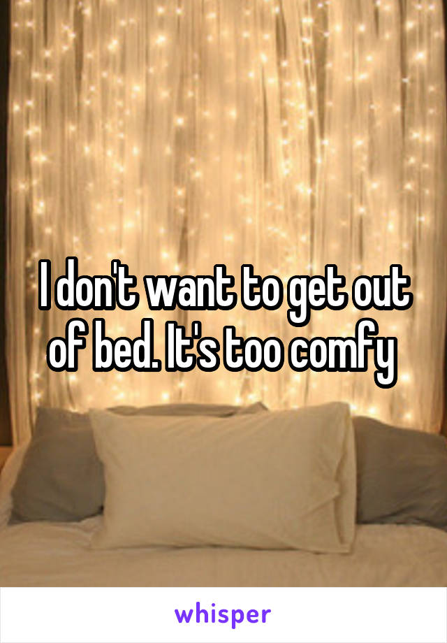 I don't want to get out of bed. It's too comfy 