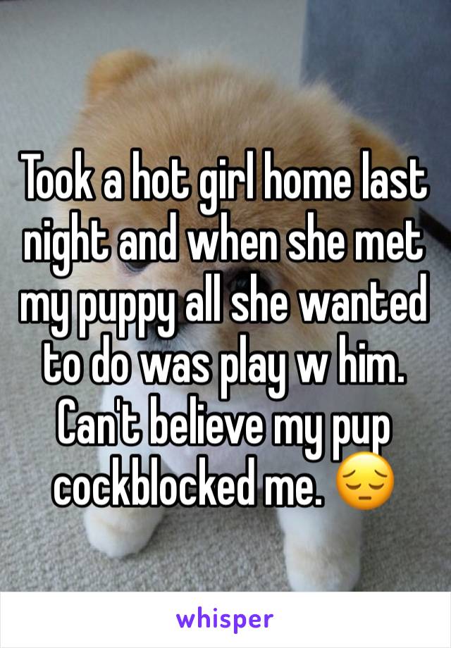 Took a hot girl home last night and when she met my puppy all she wanted to do was play w him. Can't believe my pup cockblocked me. 😔