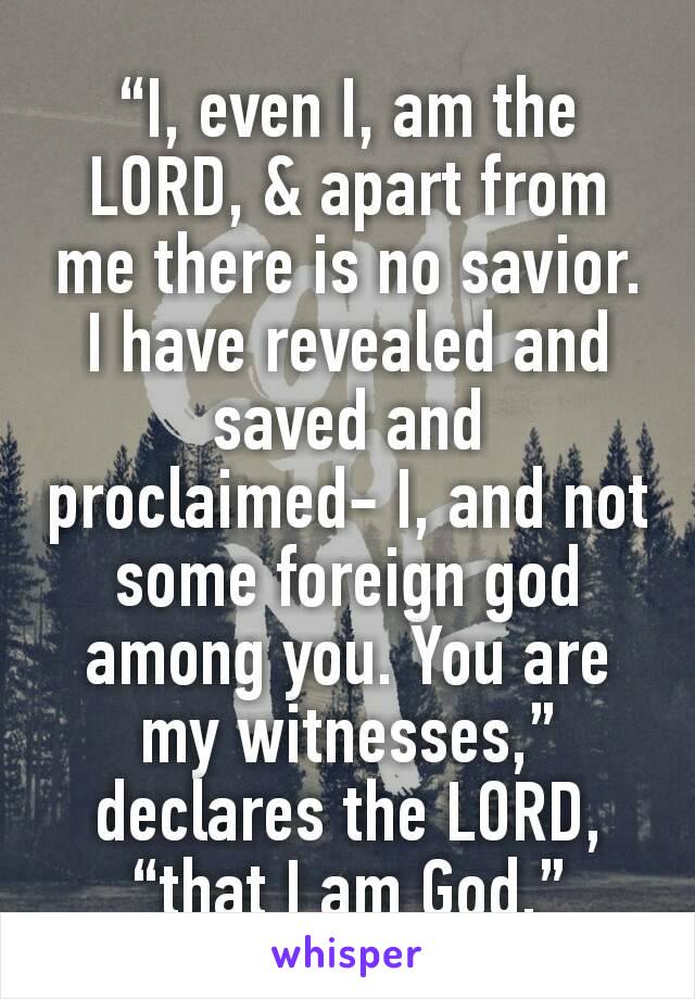 “I, even I, am the LORD, & apart from me there is no savior. I have revealed and saved and proclaimed- I, and not some foreign god among you. You are my witnesses,” declares the LORD, “that I am God.”
