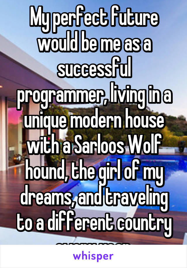 My perfect future would be me as a successful programmer, living in a unique modern house with a Sarloos Wolf hound, the girl of my dreams, and traveling to a different country every year.