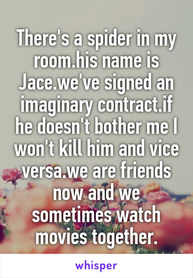 There's a spider in my room.his name is Jace.we've signed an imaginary contract.if he doesn't bother me I won't kill him and vice versa.we are friends now and we sometimes watch movies together.