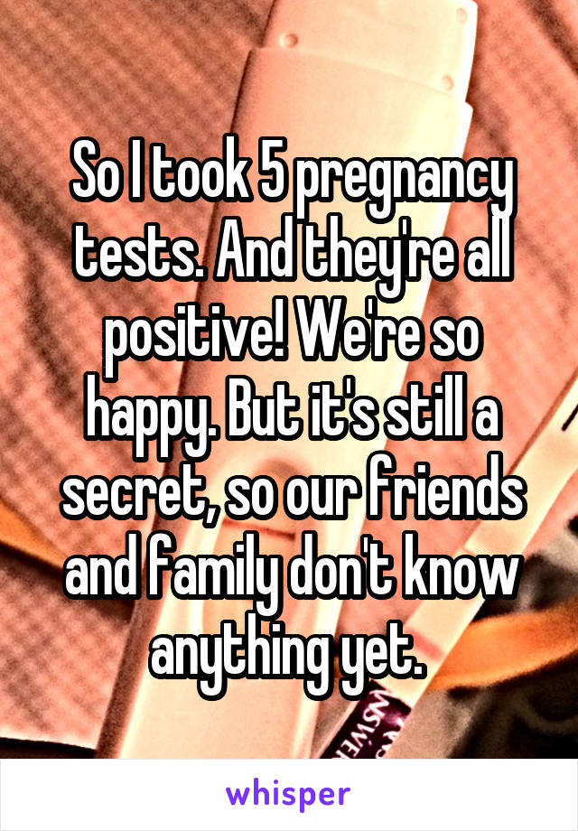 So I took 5 pregnancy tests. And they're all positive! We're so happy. But it's still a secret, so our friends and family don't know anything yet. 