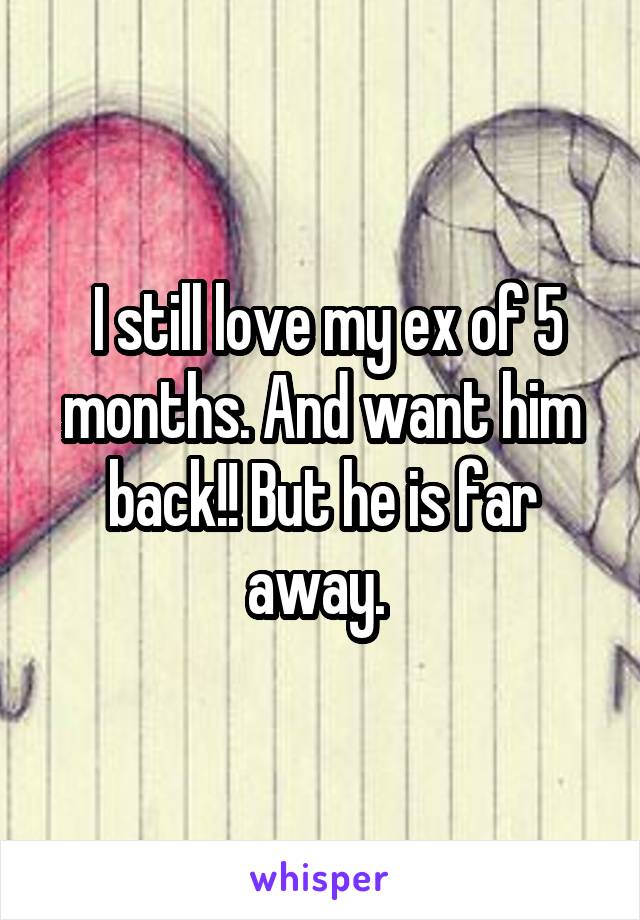  I still love my ex of 5 months. And want him back!! But he is far away. 