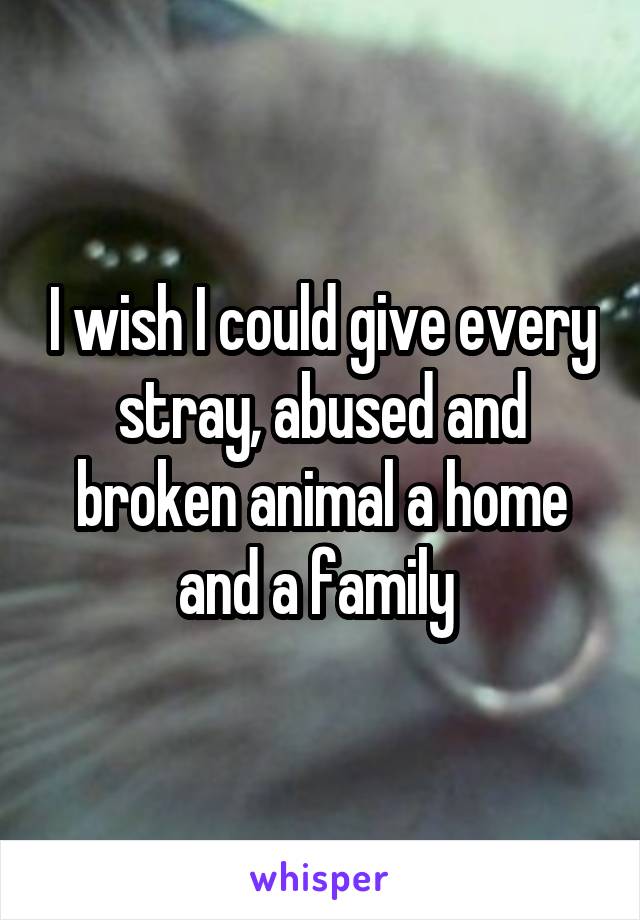 I wish I could give every stray, abused and broken animal a home and a family 