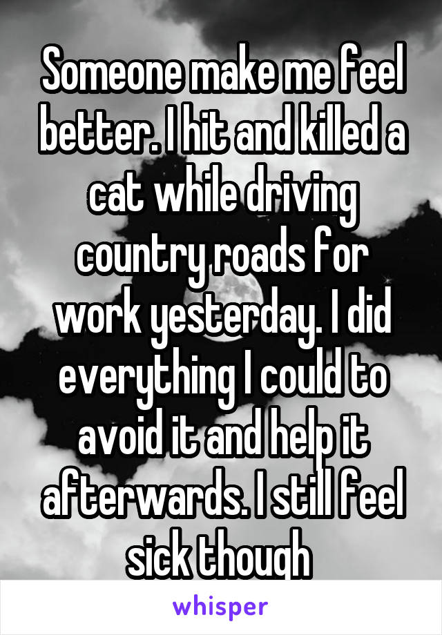 Someone make me feel better. I hit and killed a cat while driving country roads for work yesterday. I did everything I could to avoid it and help it afterwards. I still feel sick though 