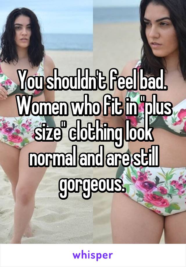 You shouldn't feel bad.  Women who fit in "plus size" clothing look normal and are still gorgeous. 