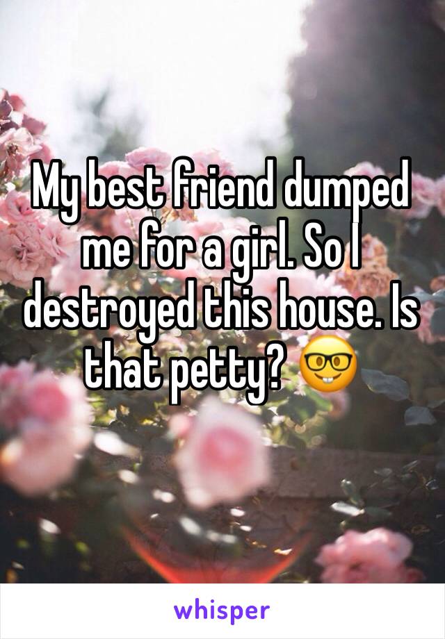 My best friend dumped me for a girl. So I destroyed this house. Is that petty? 🤓