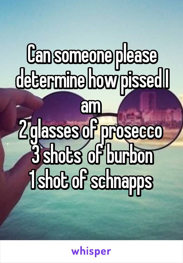 Can someone please determine how pissed I am 
2 glasses of prosecco 
3 shots  of burbon
1 shot of schnapps 
