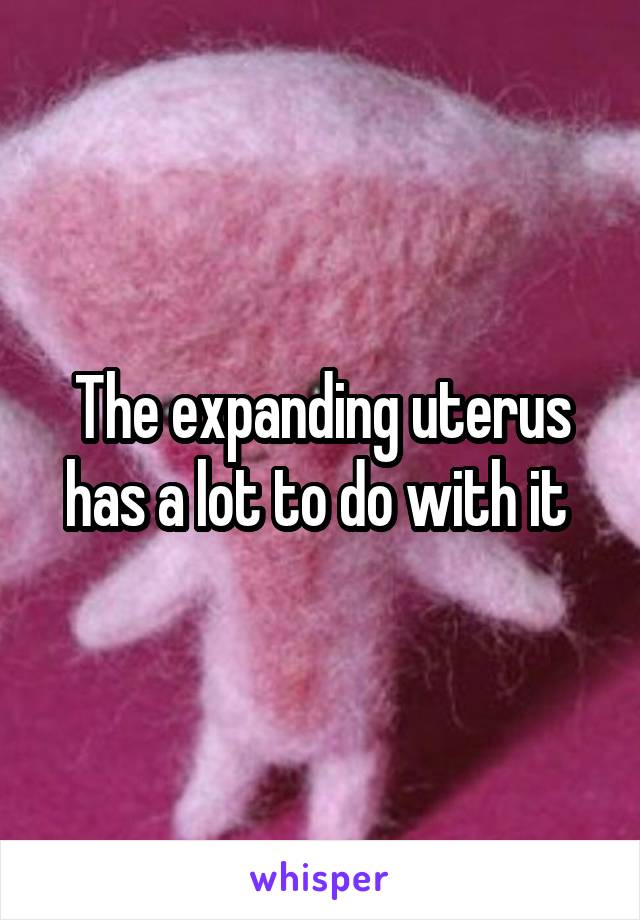 The expanding uterus has a lot to do with it 