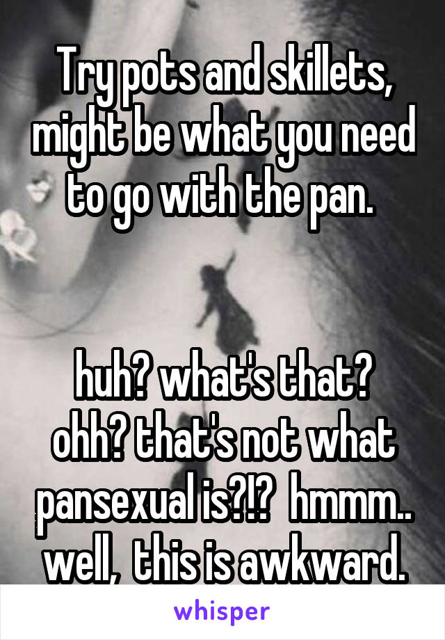 Try pots and skillets, might be what you need to go with the pan. 


huh? what's that? ohh? that's not what pansexual is?!?  hmmm.. well,  this is awkward.