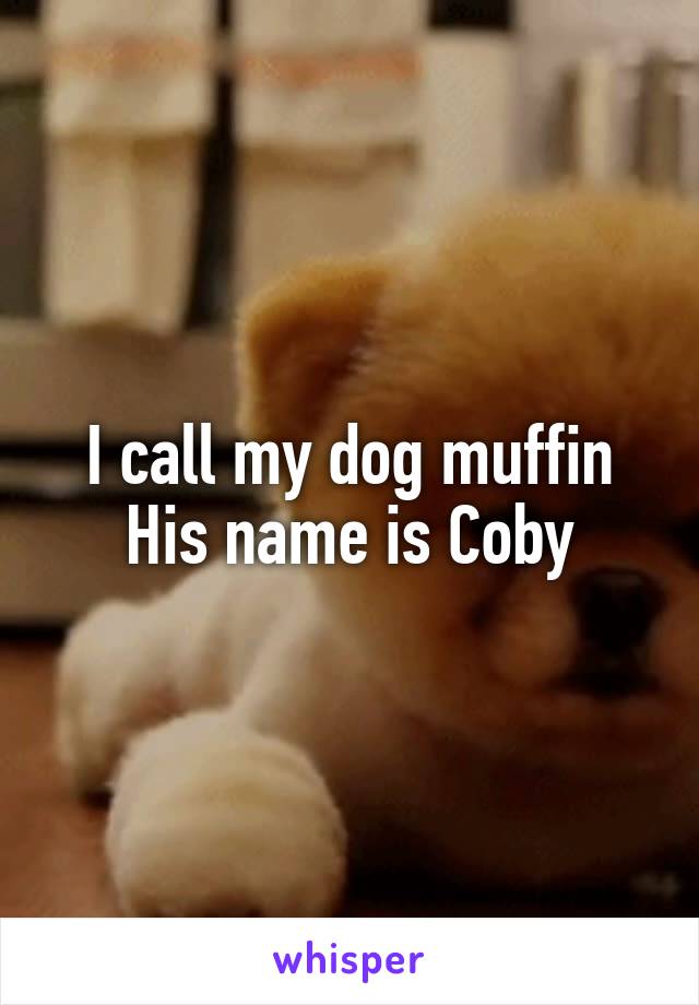 I call my dog muffin
His name is Coby