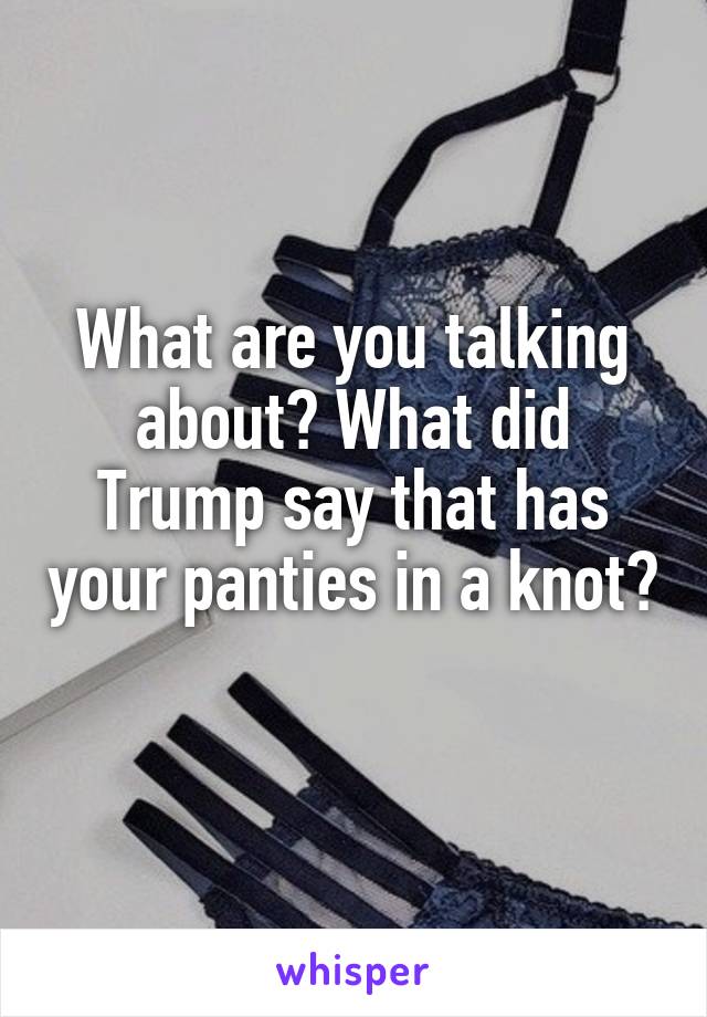 What are you talking about? What did Trump say that has your panties in a knot? 