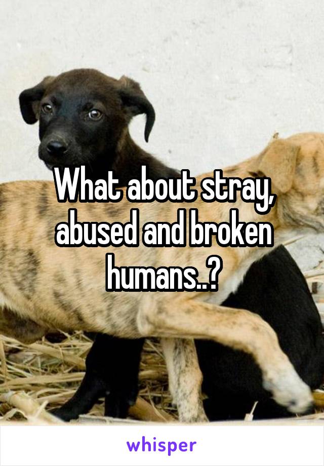What about stray, abused and broken humans..?