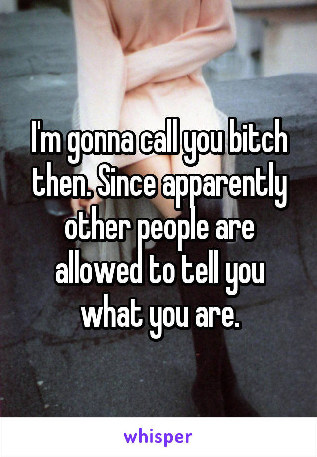 I'm gonna call you bitch then. Since apparently other people are allowed to tell you what you are.