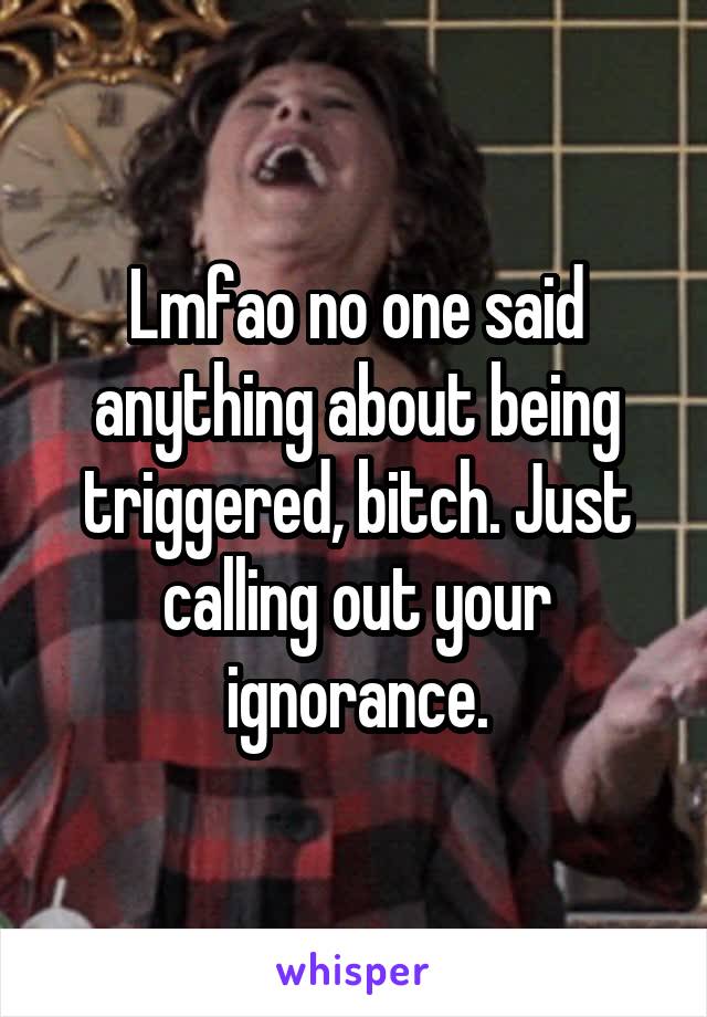 Lmfao no one said anything about being triggered, bitch. Just calling out your ignorance.