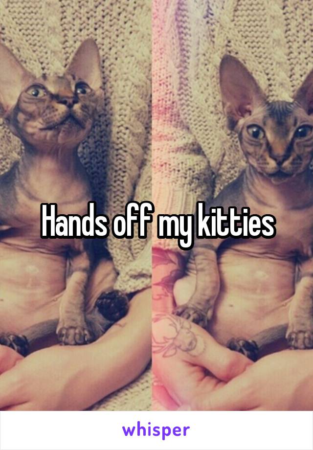 Hands off my kitties