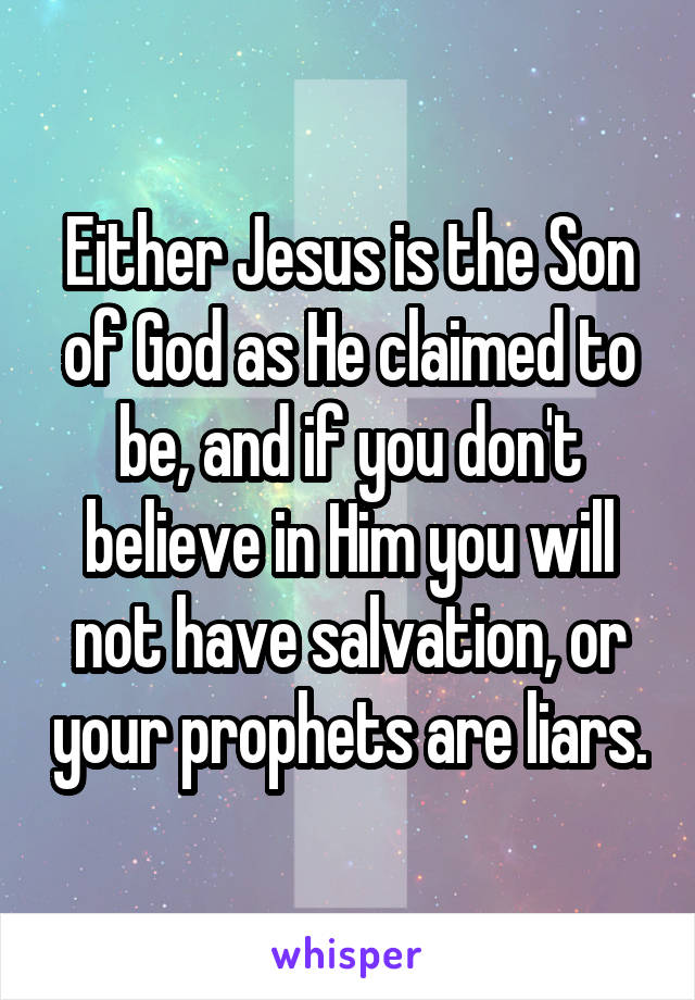 Either Jesus is the Son of God as He claimed to be, and if you don't believe in Him you will not have salvation, or your prophets are liars.