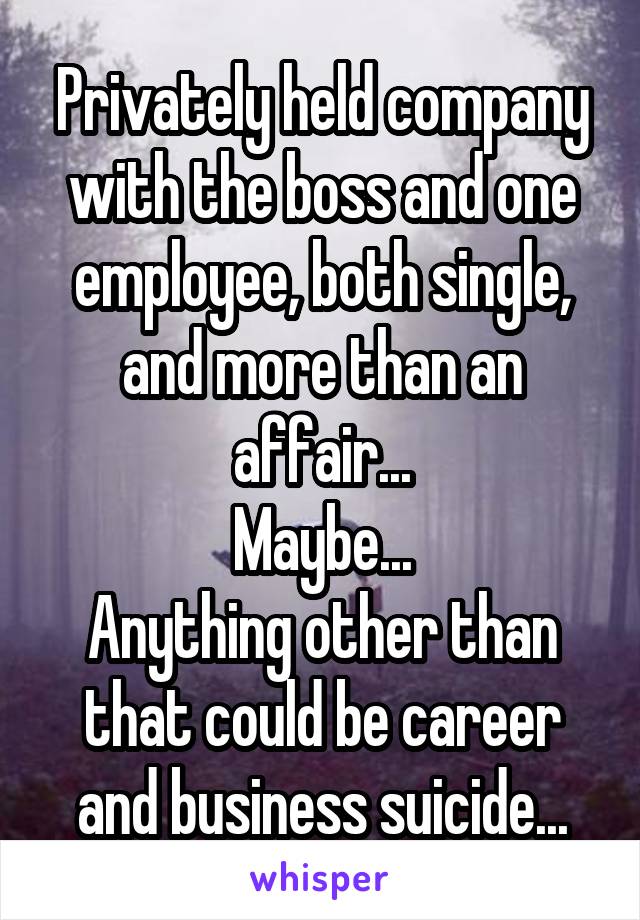 Privately held company with the boss and one employee, both single, and more than an affair...
Maybe...
Anything other than that could be career and business suicide...