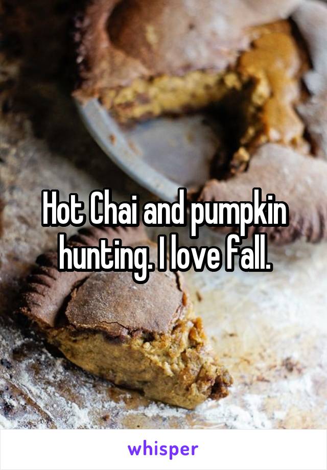 Hot Chai and pumpkin hunting. I love fall.