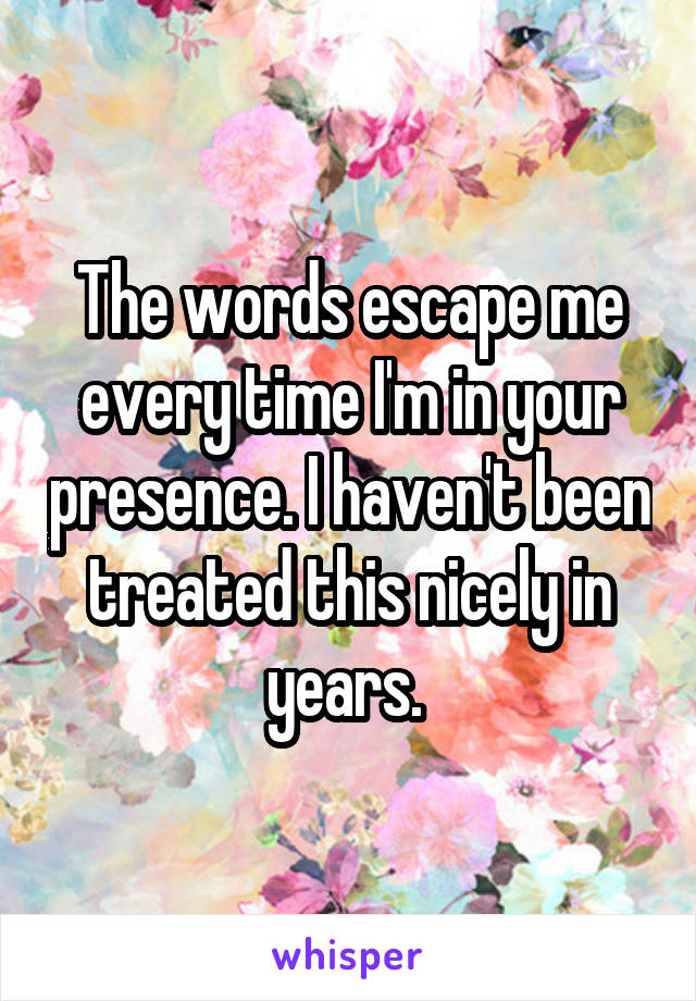 The words escape me every time I'm in your presence. I haven't been treated this nicely in years. 
