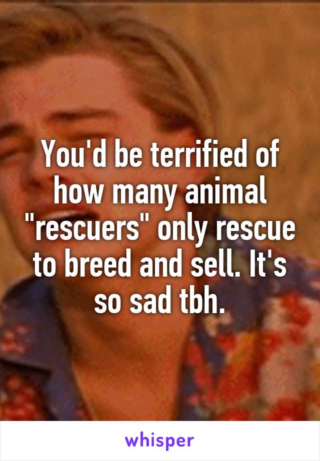 You'd be terrified of how many animal "rescuers" only rescue to breed and sell. It's so sad tbh.