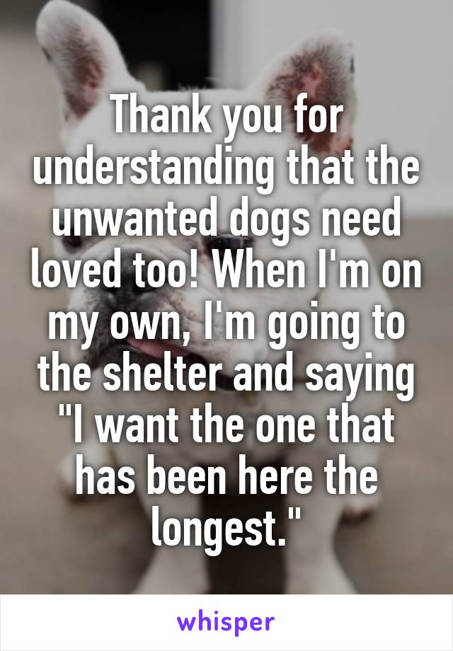 Thank you for understanding that the unwanted dogs need loved too! When I'm on my own, I'm going to the shelter and saying "I want the one that has been here the longest."