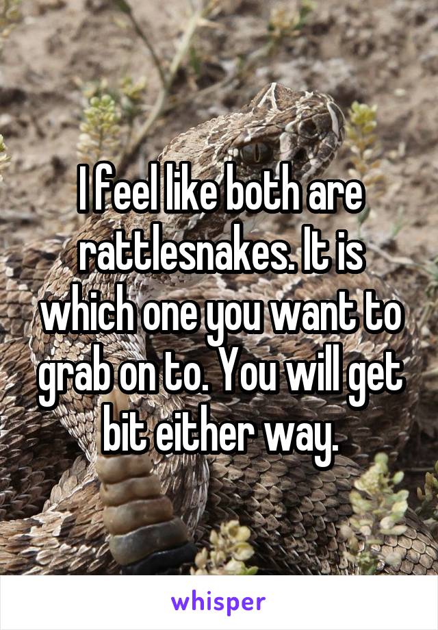 I feel like both are rattlesnakes. It is which one you want to grab on to. You will get bit either way.