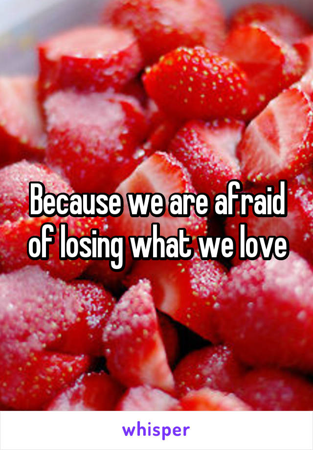 Because we are afraid of losing what we love