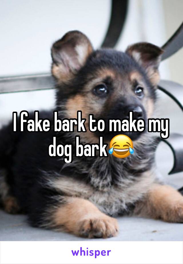 I fake bark to make my dog bark😂