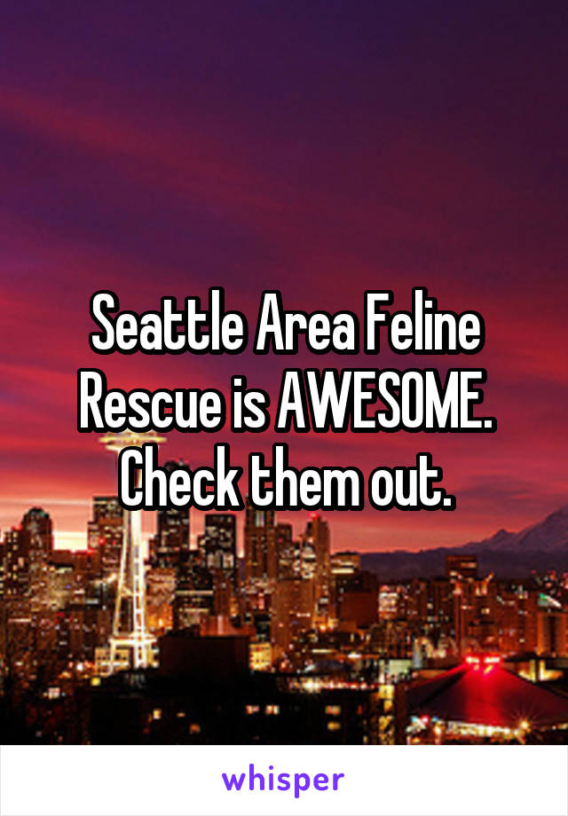 Seattle Area Feline Rescue is AWESOME. Check them out.