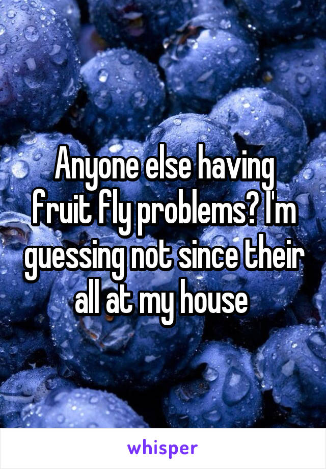 Anyone else having fruit fly problems? I'm guessing not since their all at my house 
