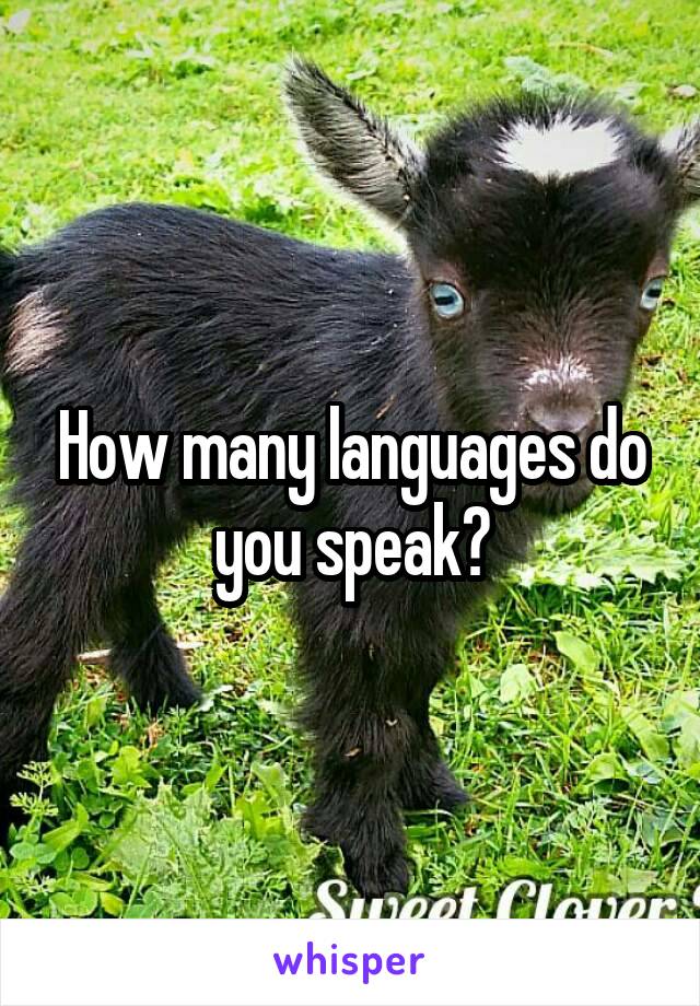 How many languages do you speak?
