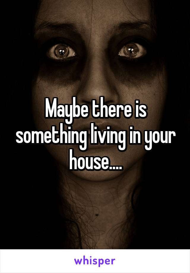 Maybe there is something living in your house....