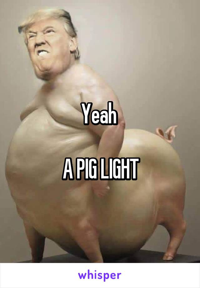 Yeah 

A PIG LIGHT
