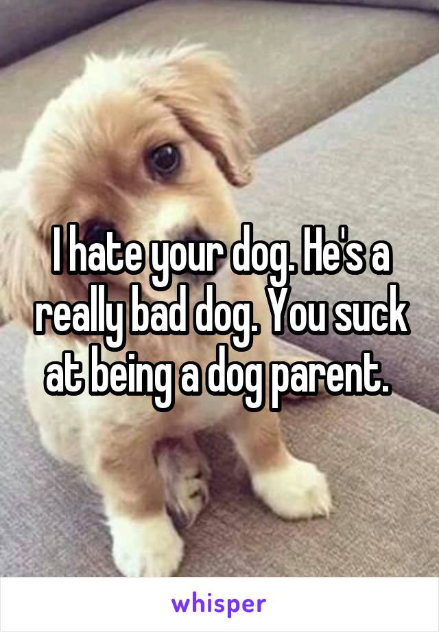 I hate your dog. He's a really bad dog. You suck at being a dog parent. 