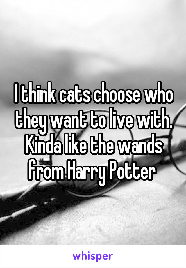 I think cats choose who they want to live with. Kinda like the wands from Harry Potter 