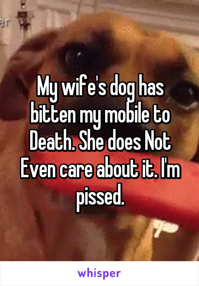 My wife's dog has bitten my mobile to Death. She does Not Even care about it. I'm pissed.