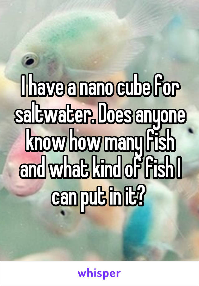 I have a nano cube for saltwater. Does anyone know how many fish and what kind of fish I can put in it? 