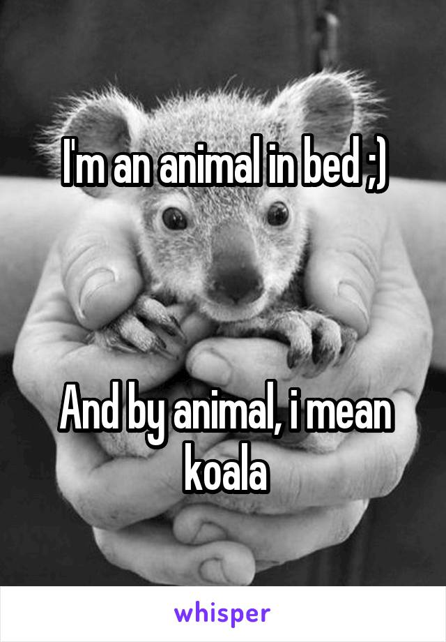 I'm an animal in bed ;)



And by animal, i mean koala