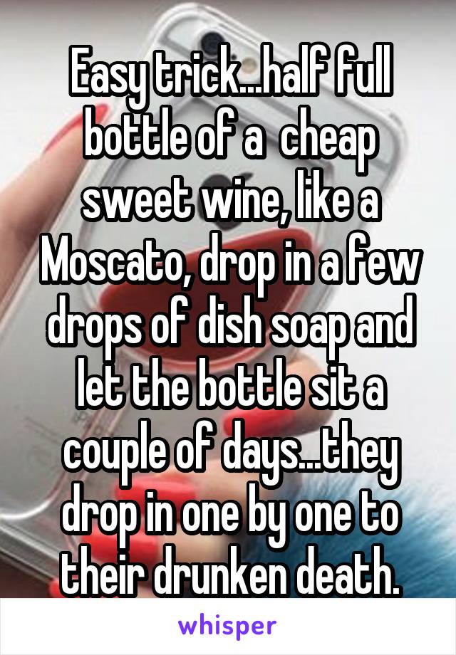 Easy trick...half full bottle of a  cheap sweet wine, like a Moscato, drop in a few drops of dish soap and let the bottle sit a couple of days...they drop in one by one to their drunken death.
