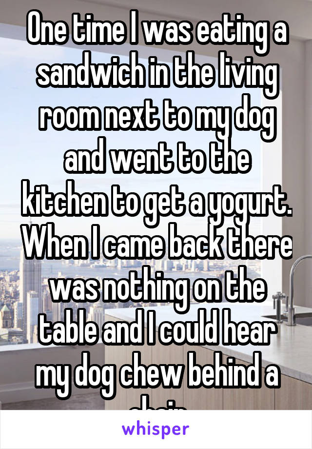 One time I was eating a sandwich in the living room next to my dog and went to the kitchen to get a yogurt. When I came back there was nothing on the table and I could hear my dog chew behind a chair