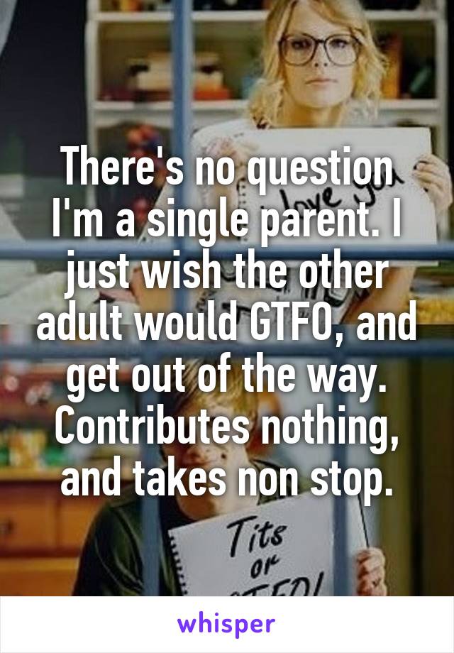 There's no question I'm a single parent. I just wish the other adult would GTFO, and get out of the way. Contributes nothing, and takes non stop.