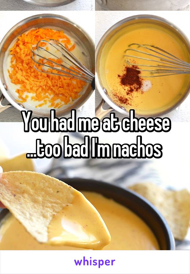 You had me at cheese
...too bad I'm nachos 