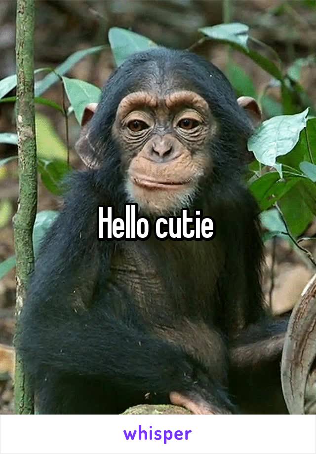 Hello cutie 