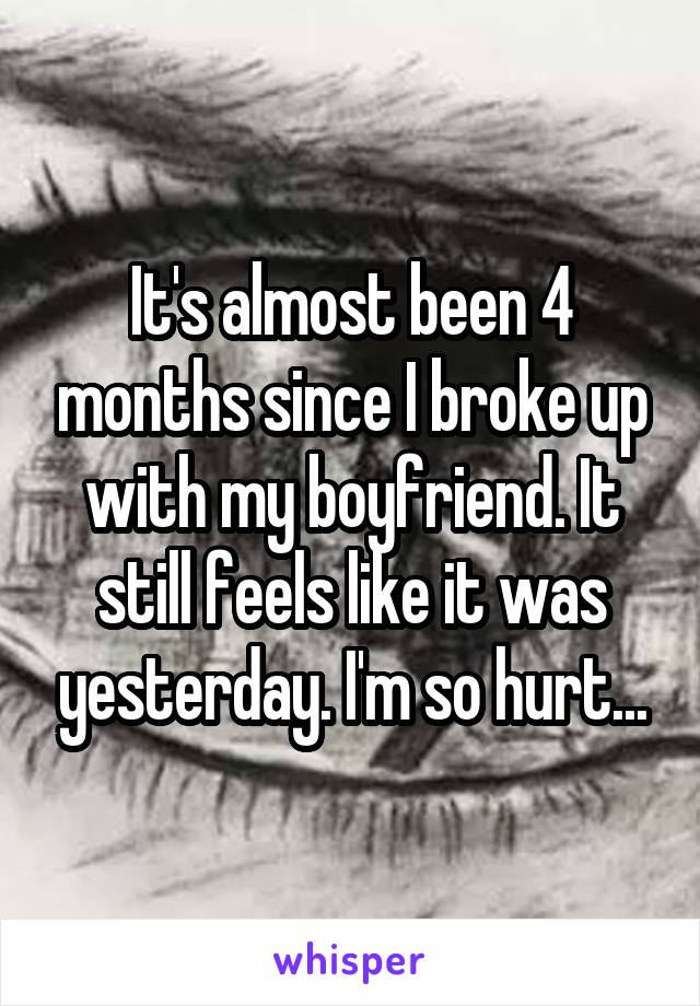It's almost been 4 months since I broke up with my boyfriend. It still feels like it was yesterday. I'm so hurt...