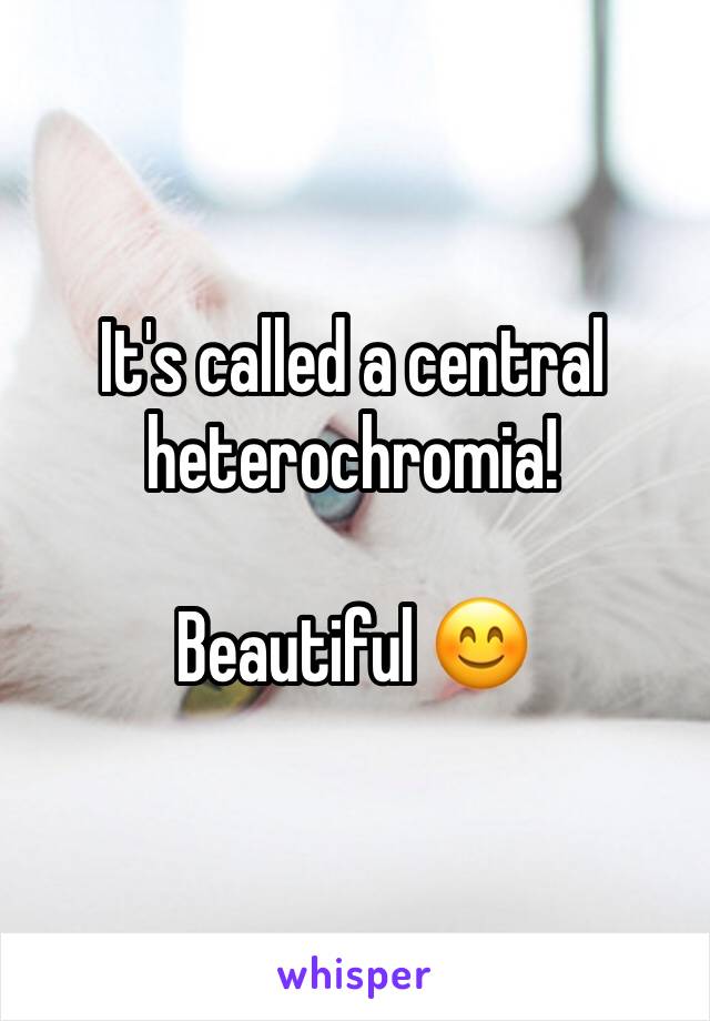 It's called a central heterochromia! 

Beautiful 😊