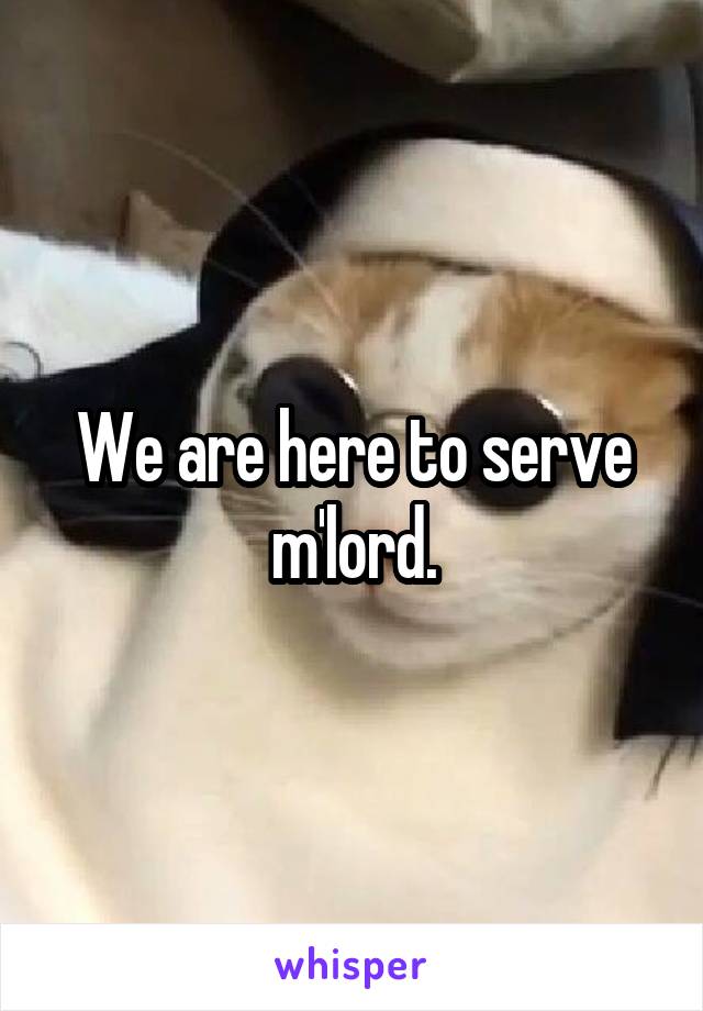 We are here to serve m'lord.