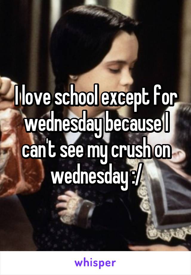 I love school except for wednesday because I can't see my crush on wednesday :/