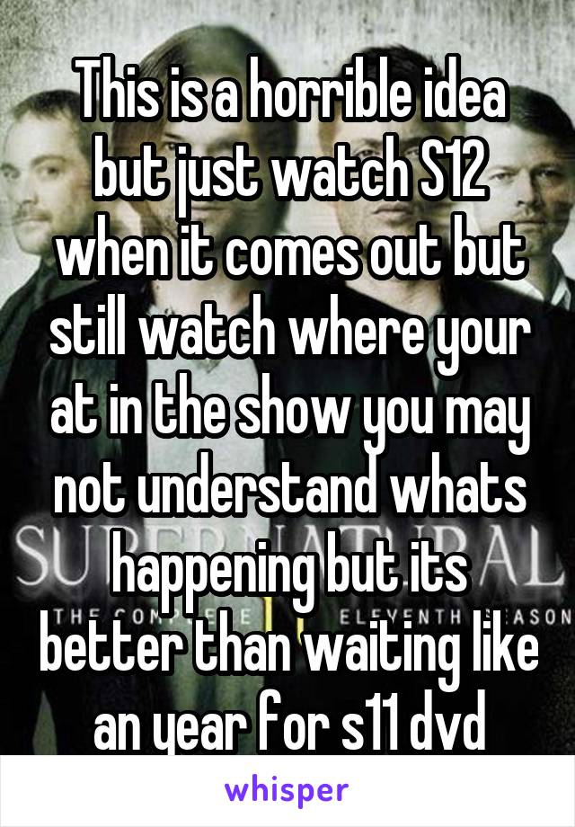 This is a horrible idea but just watch S12 when it comes out but still watch where your at in the show you may not understand whats happening but its better than waiting like an year for s11 dvd